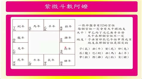 免費紫微命盤解說|紫微斗數排盤程式